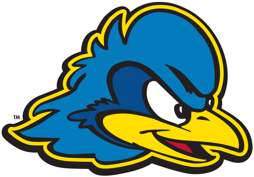 Delaware Blue Hens 2009-Pres Secondary Logo v2 diy iron on heat transfer